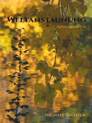 cover image of Weltanstaunung